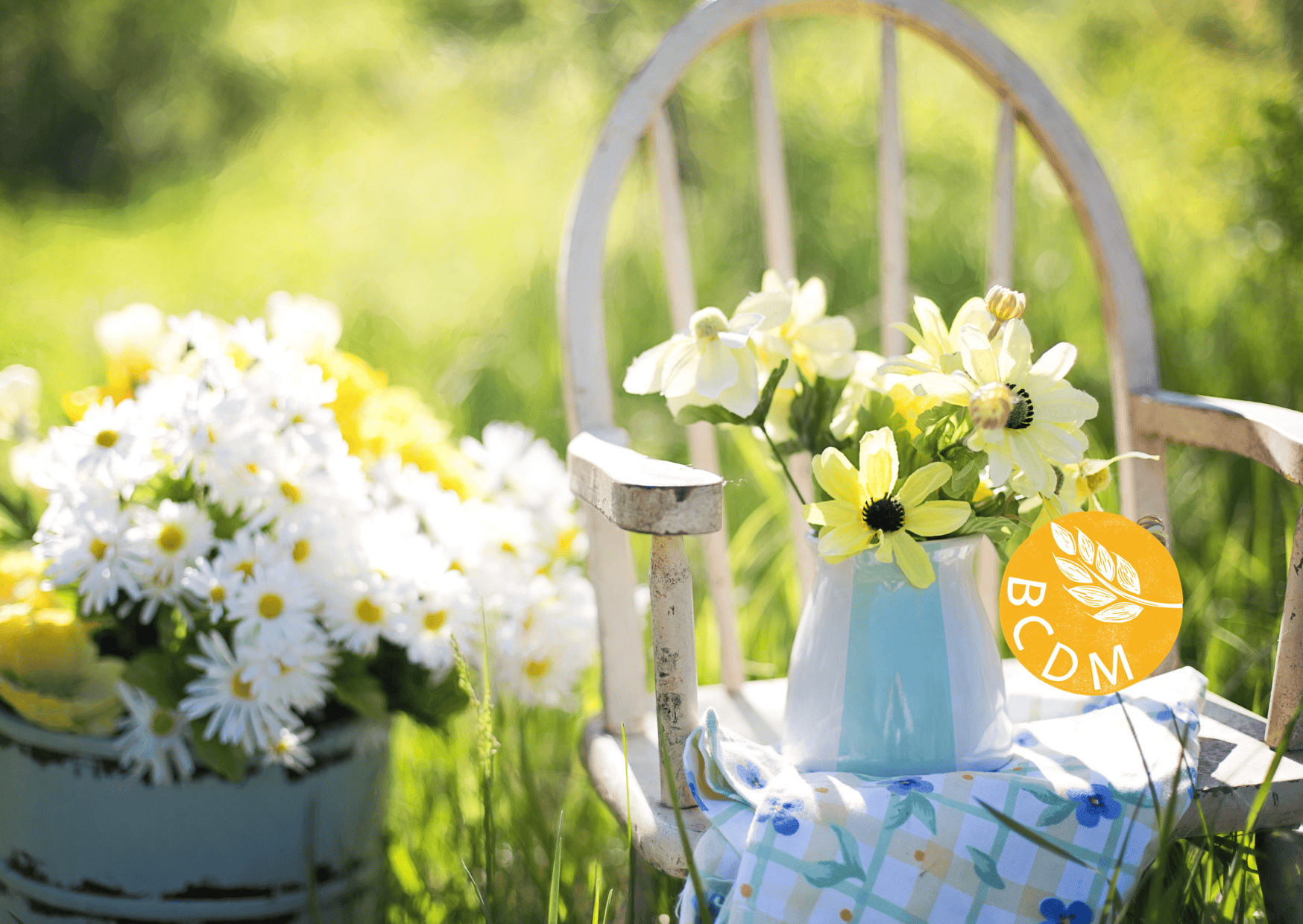 large daisy flowers in a jug on a chair in the sunshine