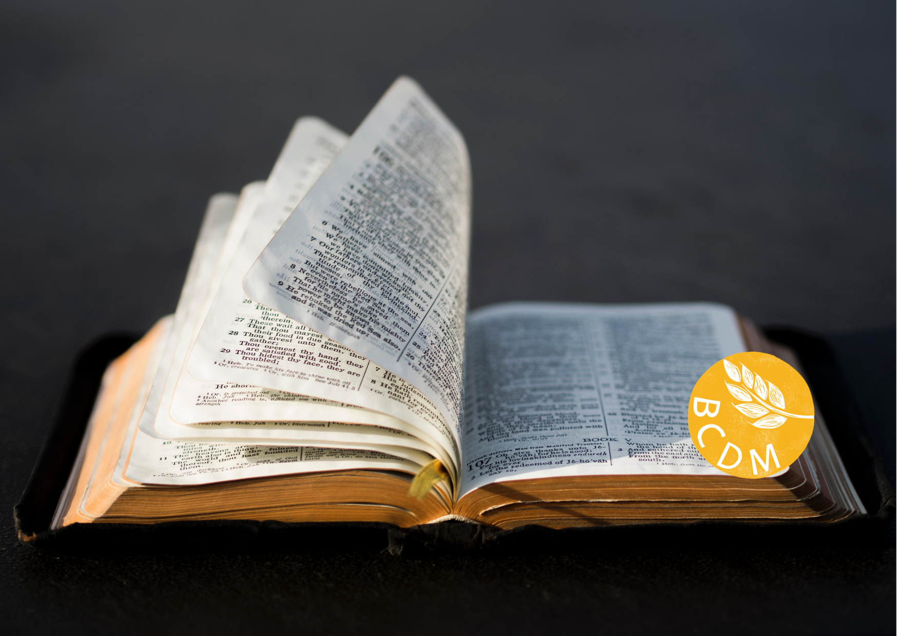 image of an open bible