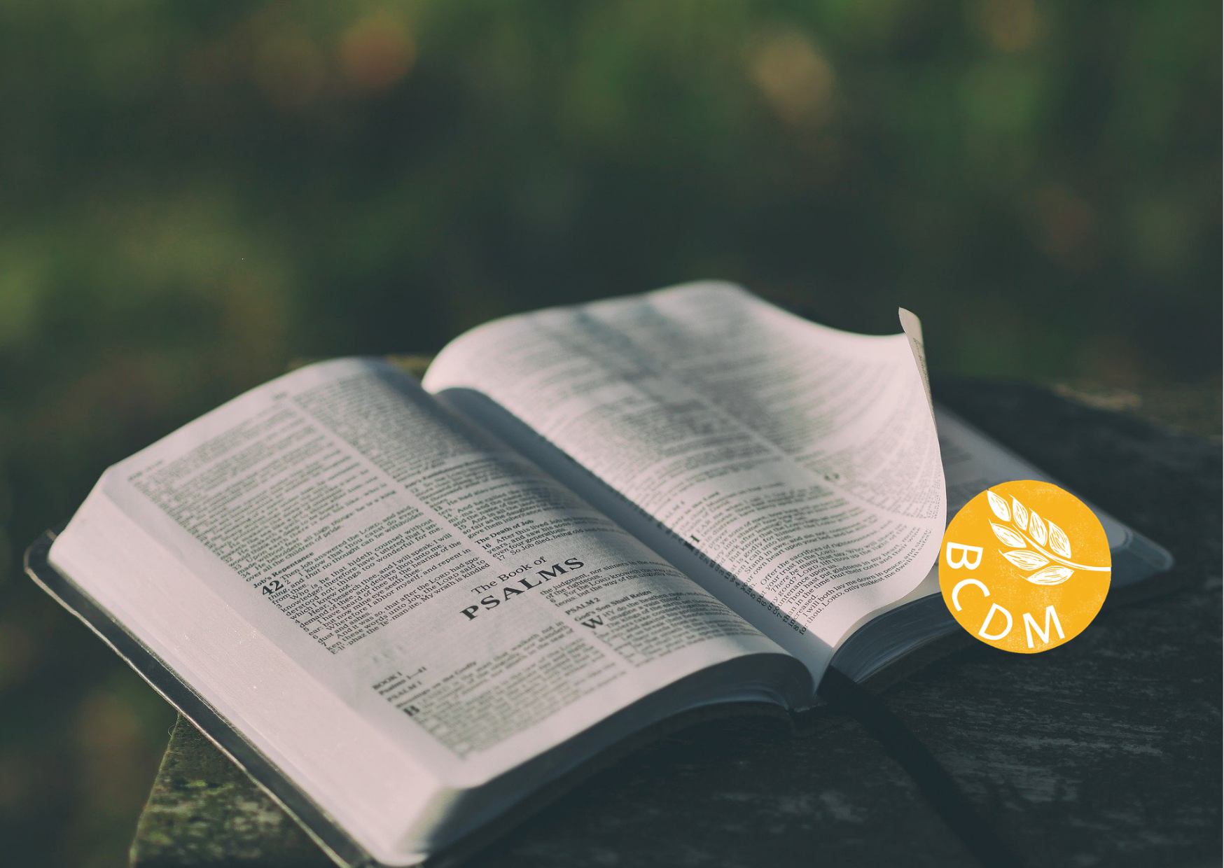 image of an open bible